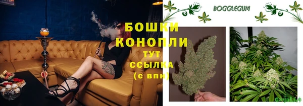 твердый Кодинск