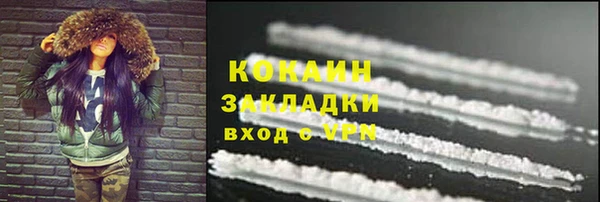 соль ск Костерёво